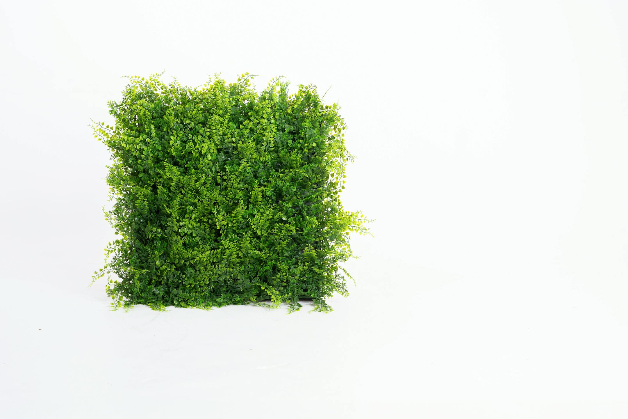Artificial fern foliage living wall mat