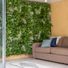 Faux galaxy green wall with brown sofa