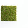 Faux Icelandic moss living wall mat