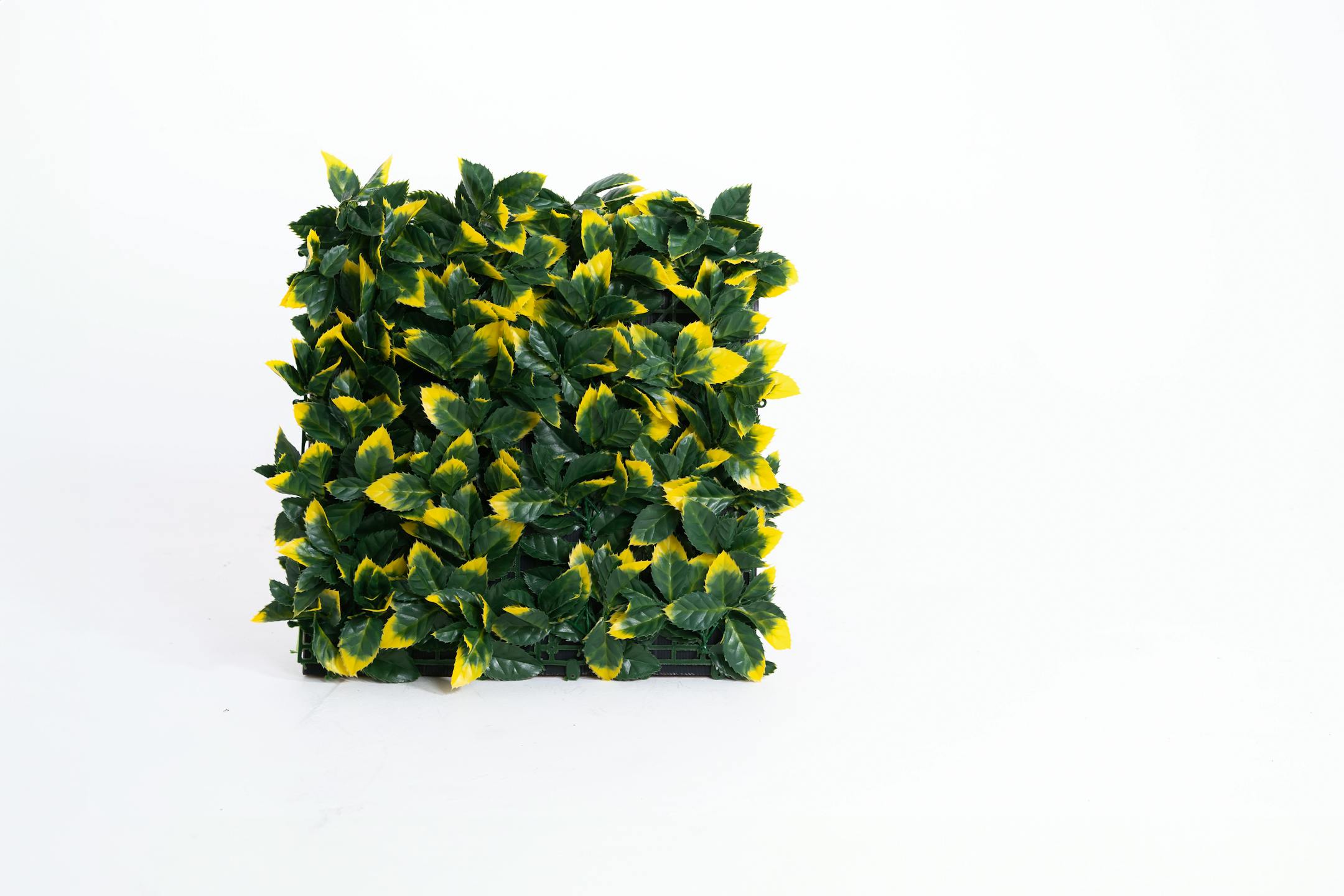 Artificial yellow photinia living wall mat