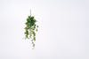 70cm green artificial ivy bush