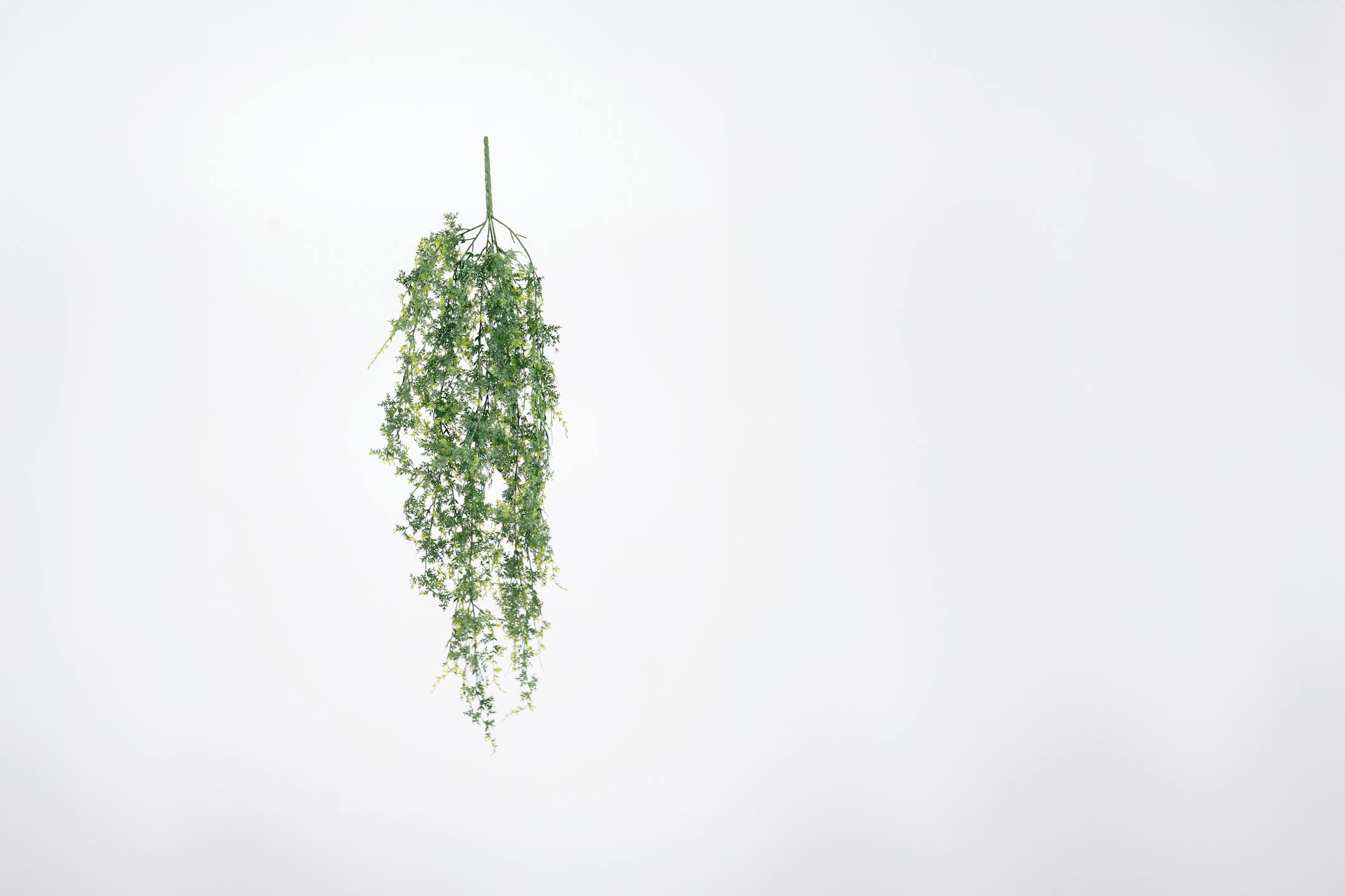 Artificial fern hanging bush