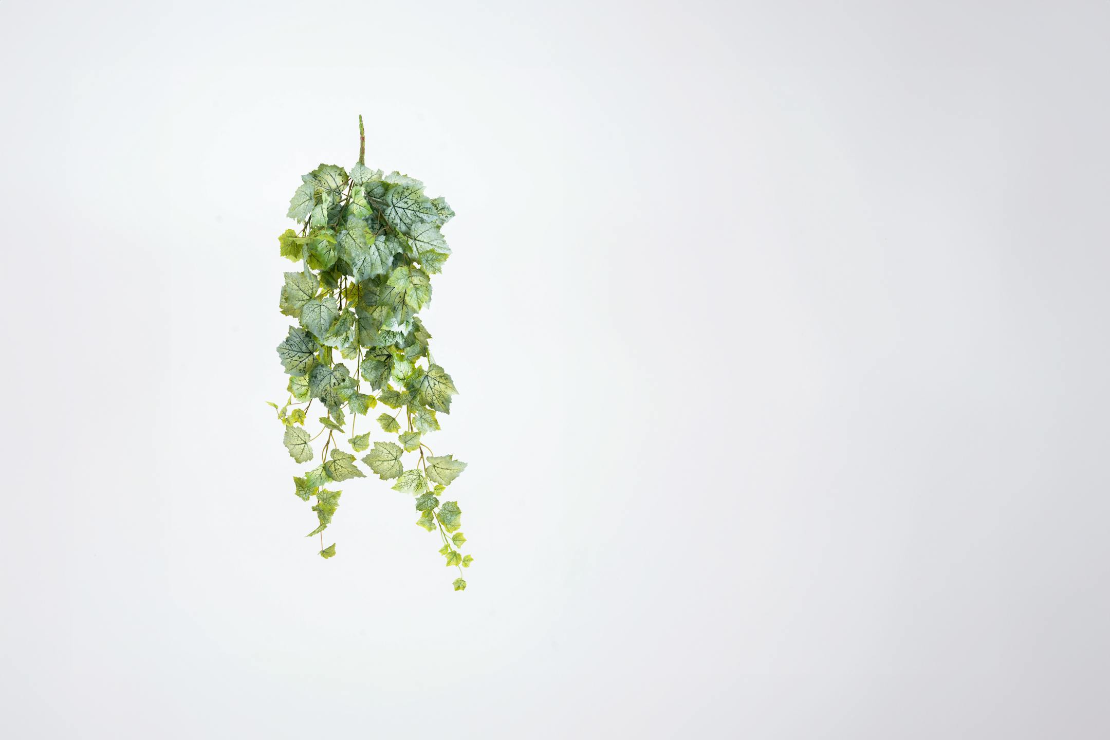 Artificial grape leaf hanging bush