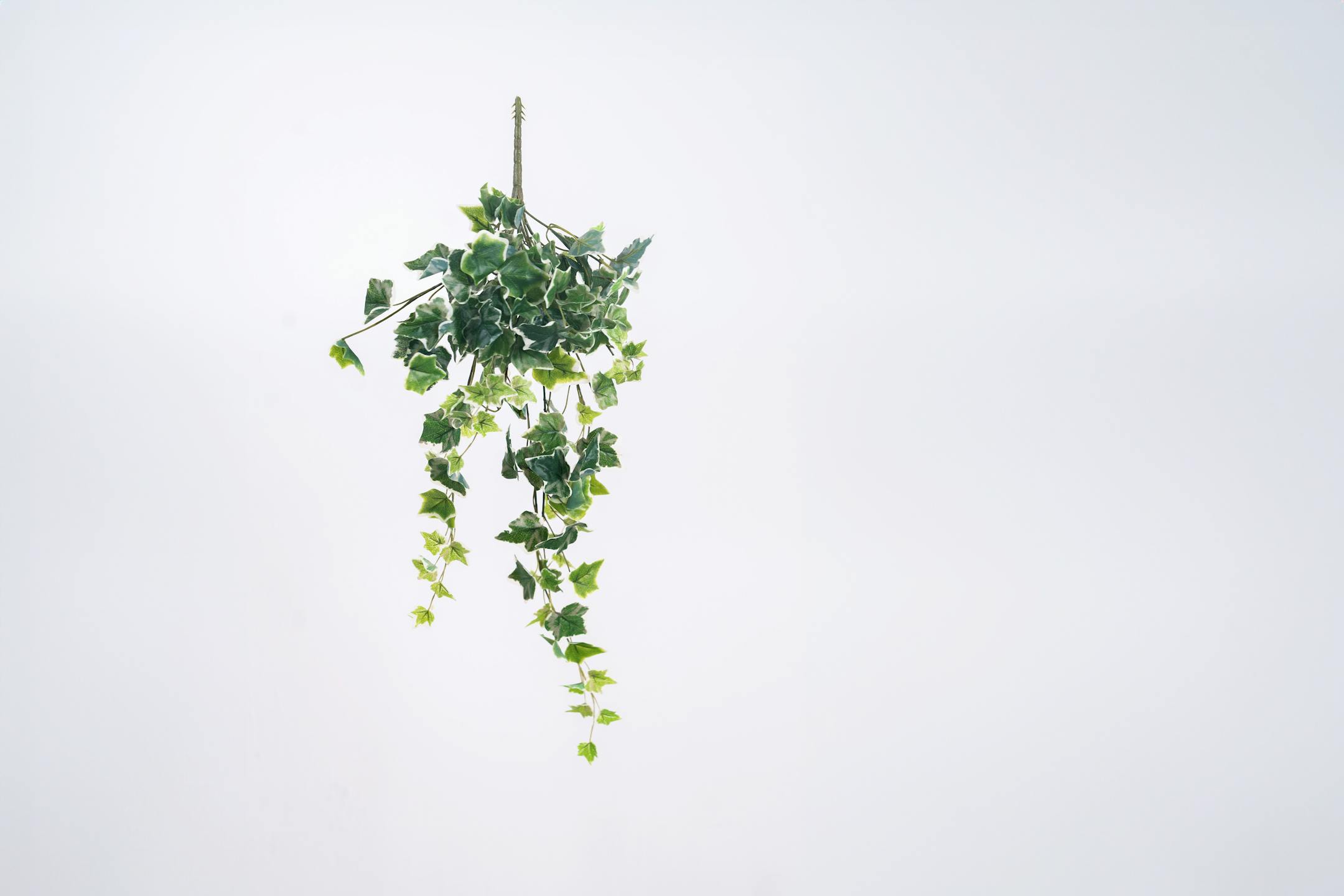 70cm variegated artificial ivy bush