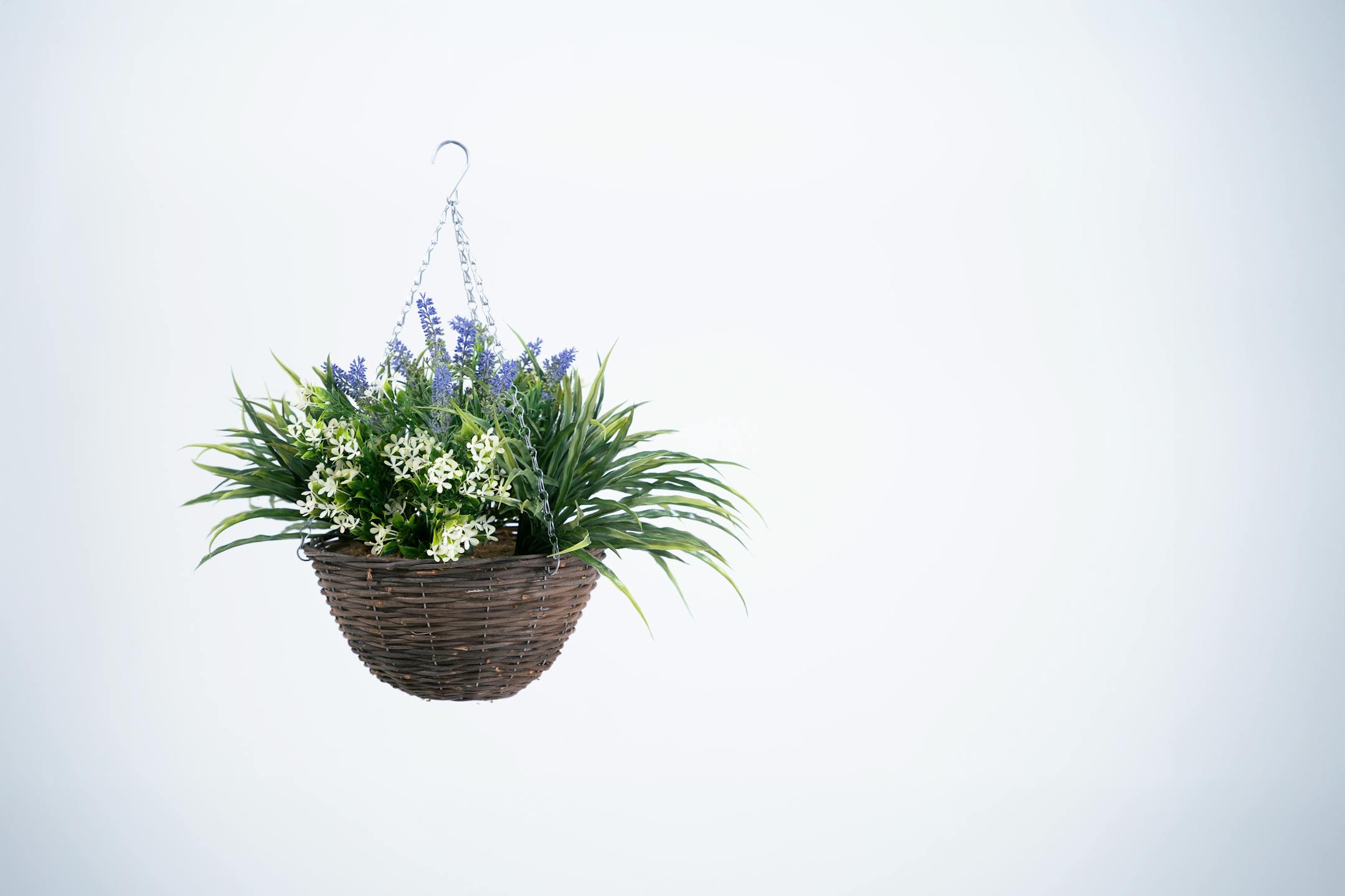 Cream artificial lavender and starflower hanging basket