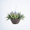 Artificial pink lavender and starflower hanging basket