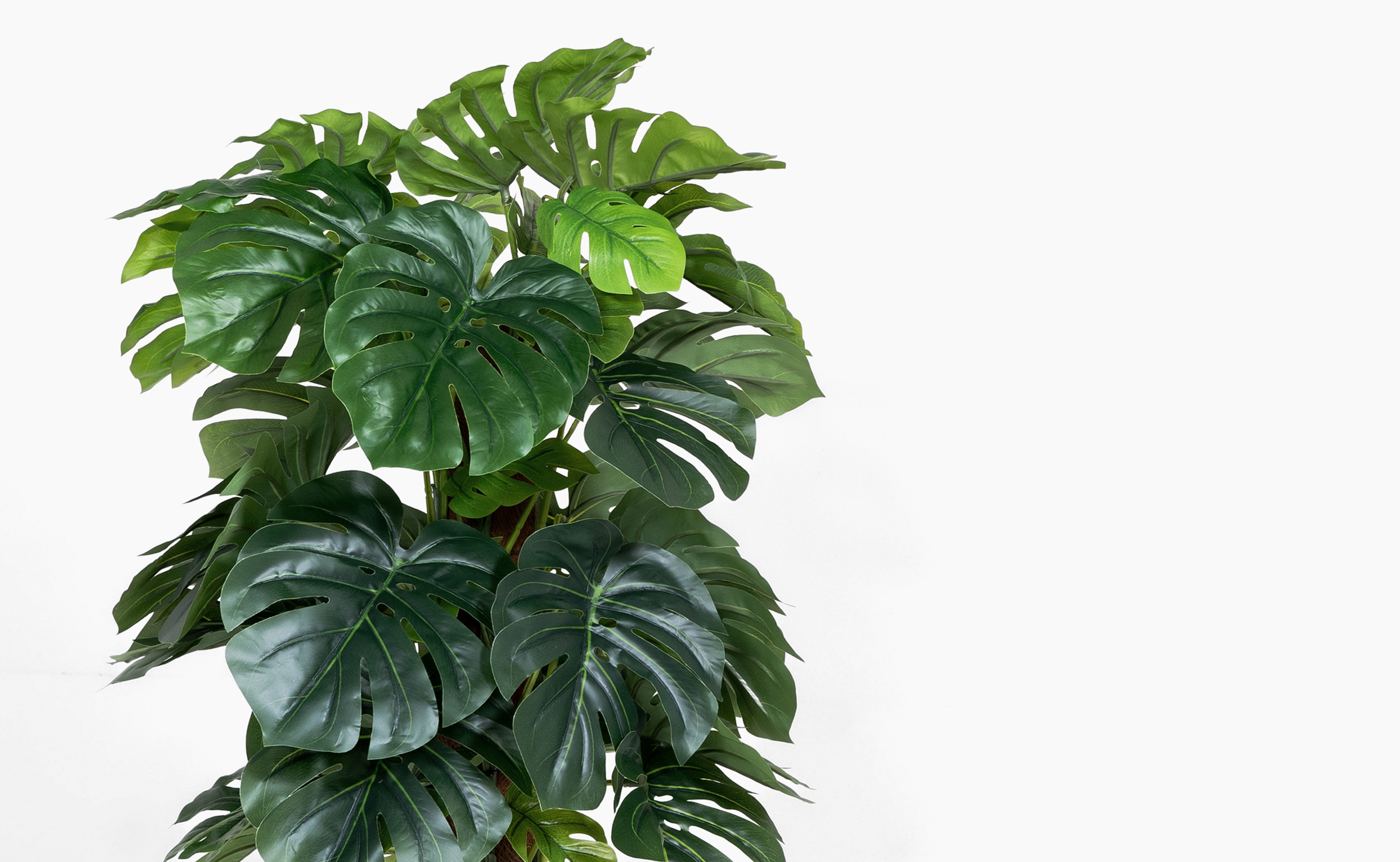 Artificial cheese plant discount