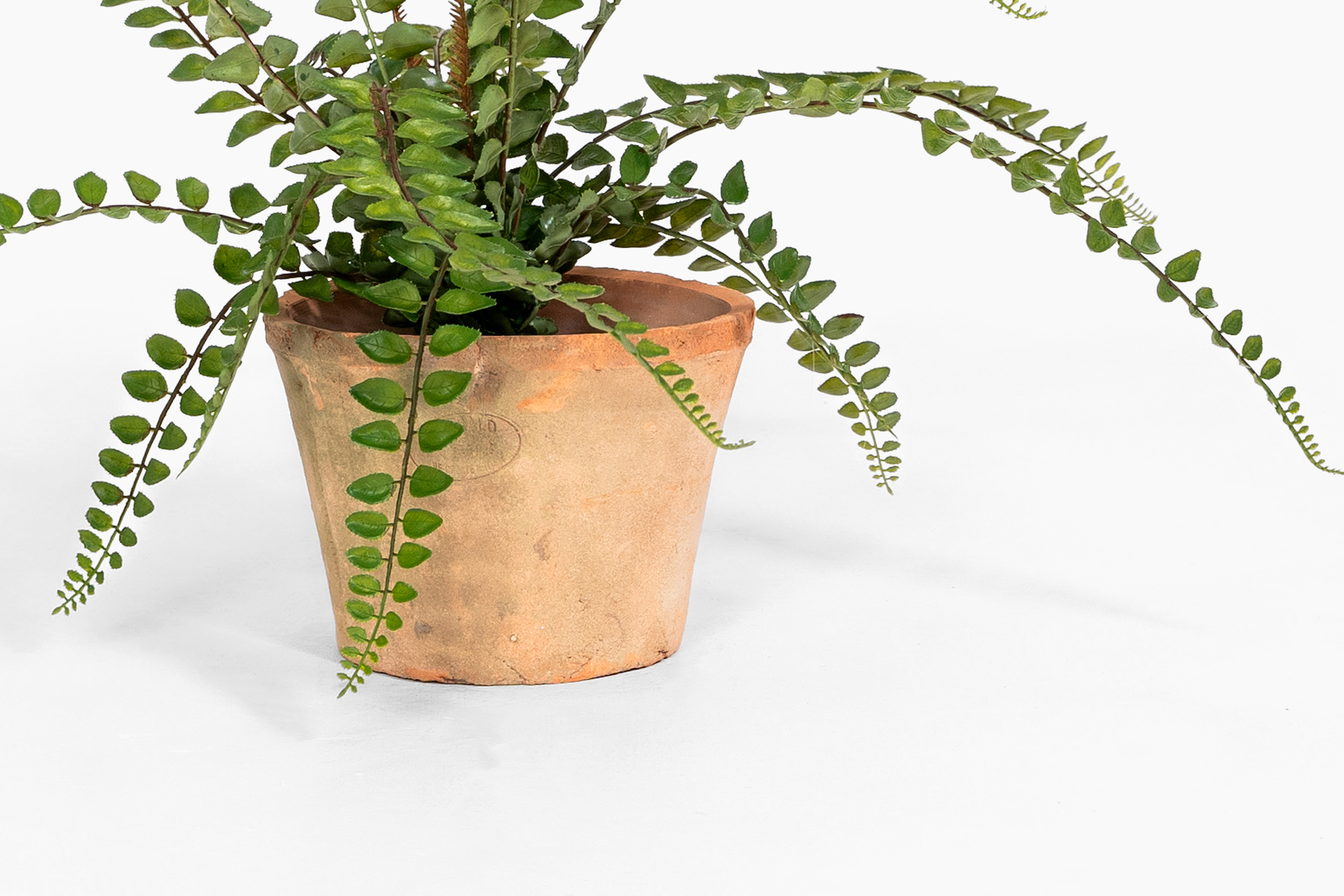 Artificial button fern