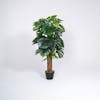 120cm artificial cheese plant