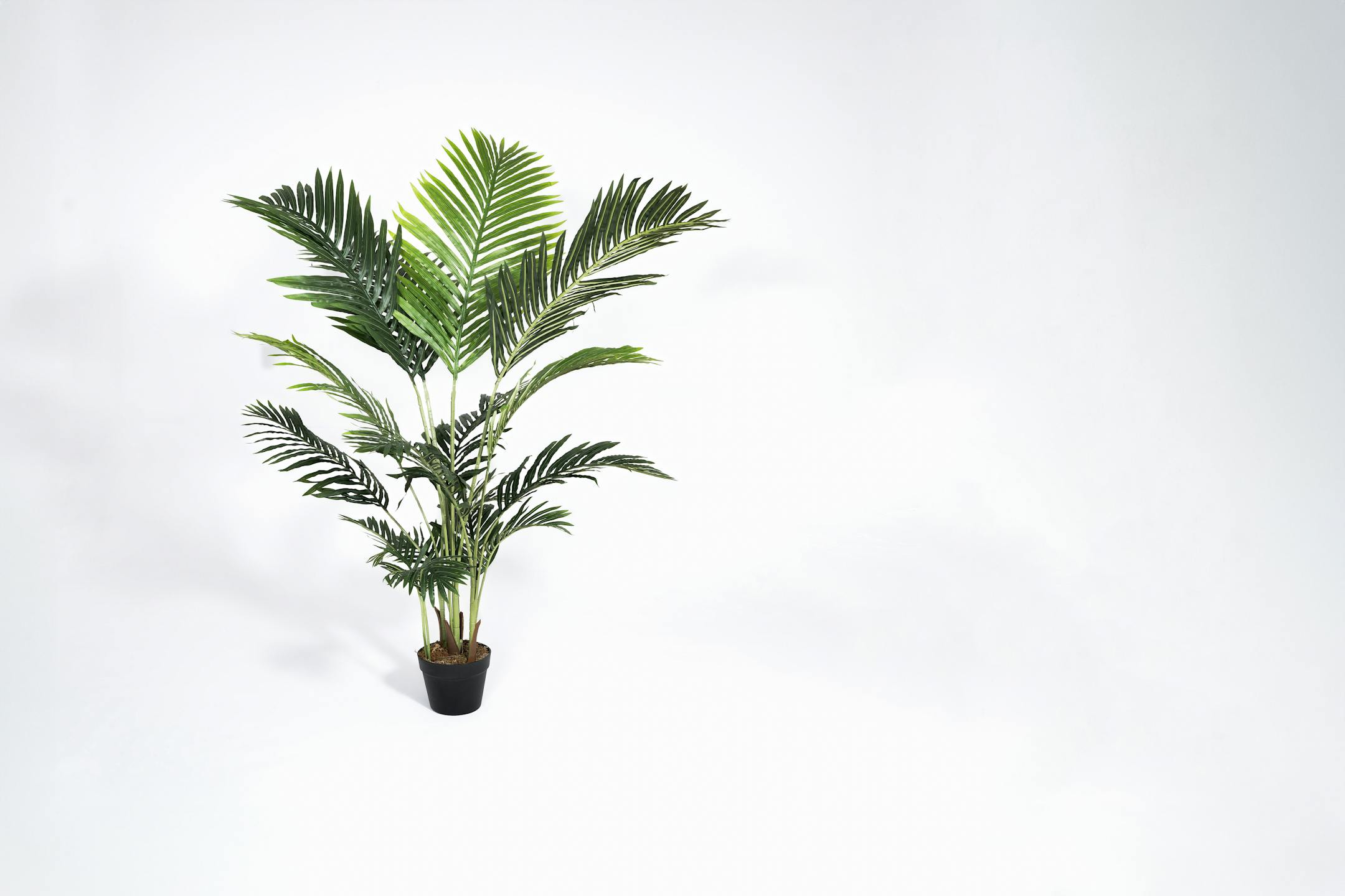 Artificial 150cm paradise palm tree