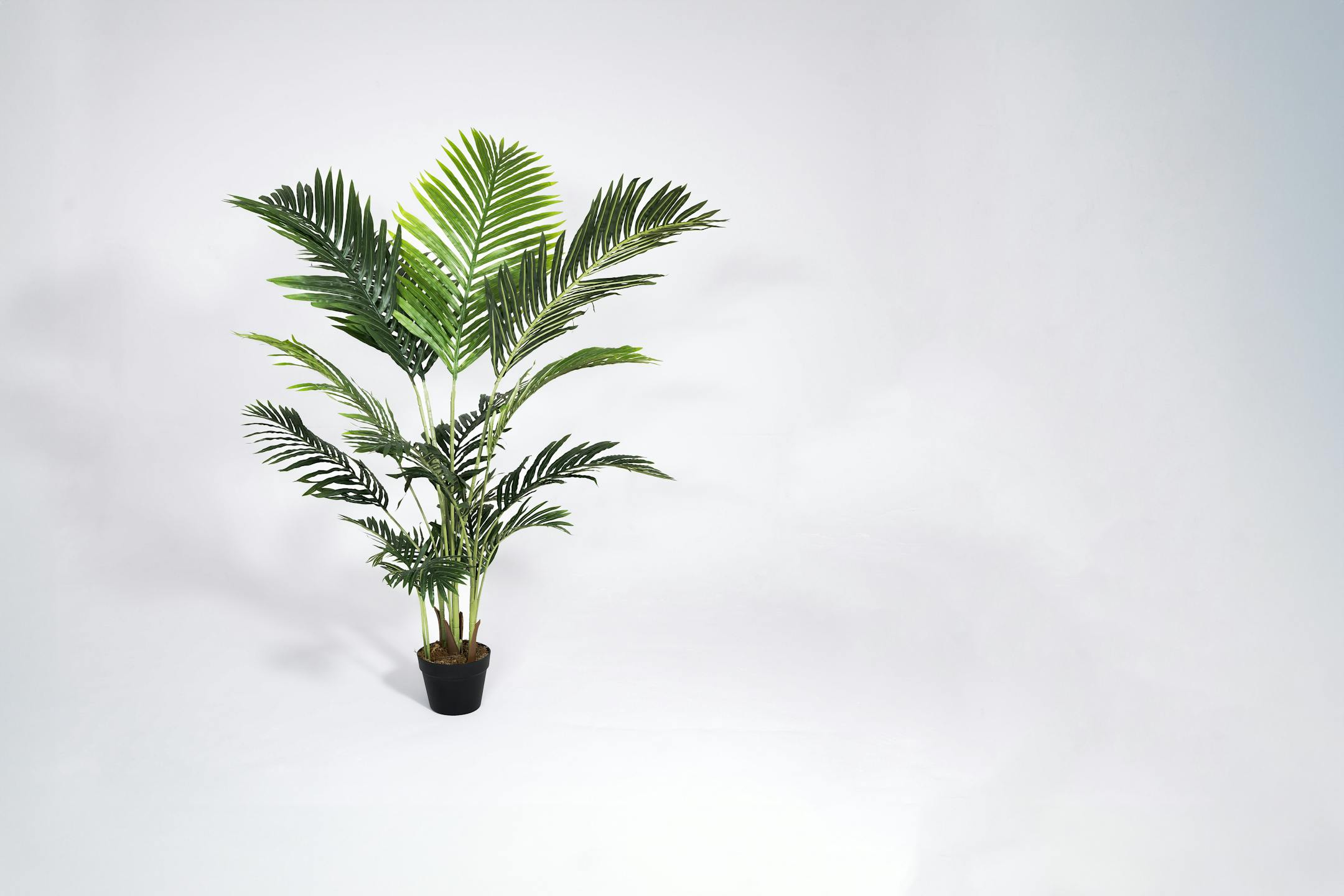 150cm artificial paradise palm tree