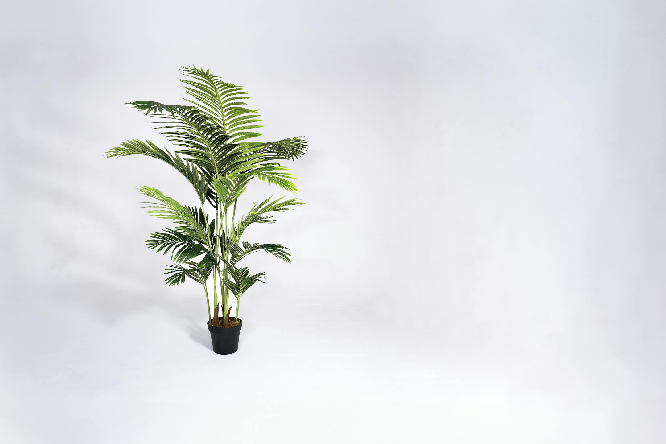 170cm artificial paradise palm tree