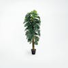 180cm artificial cheese plant