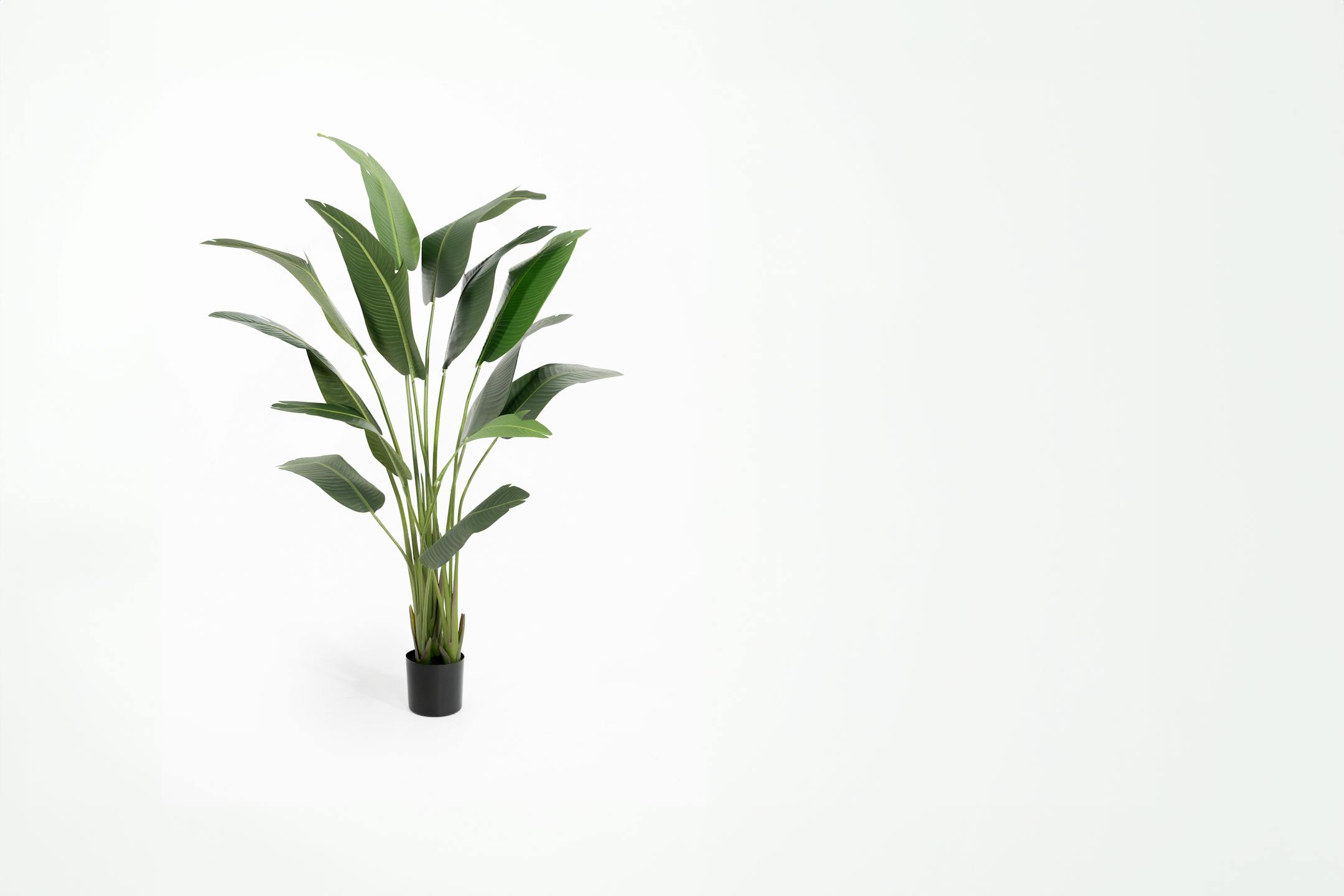 175cm artificial strelitzia plant