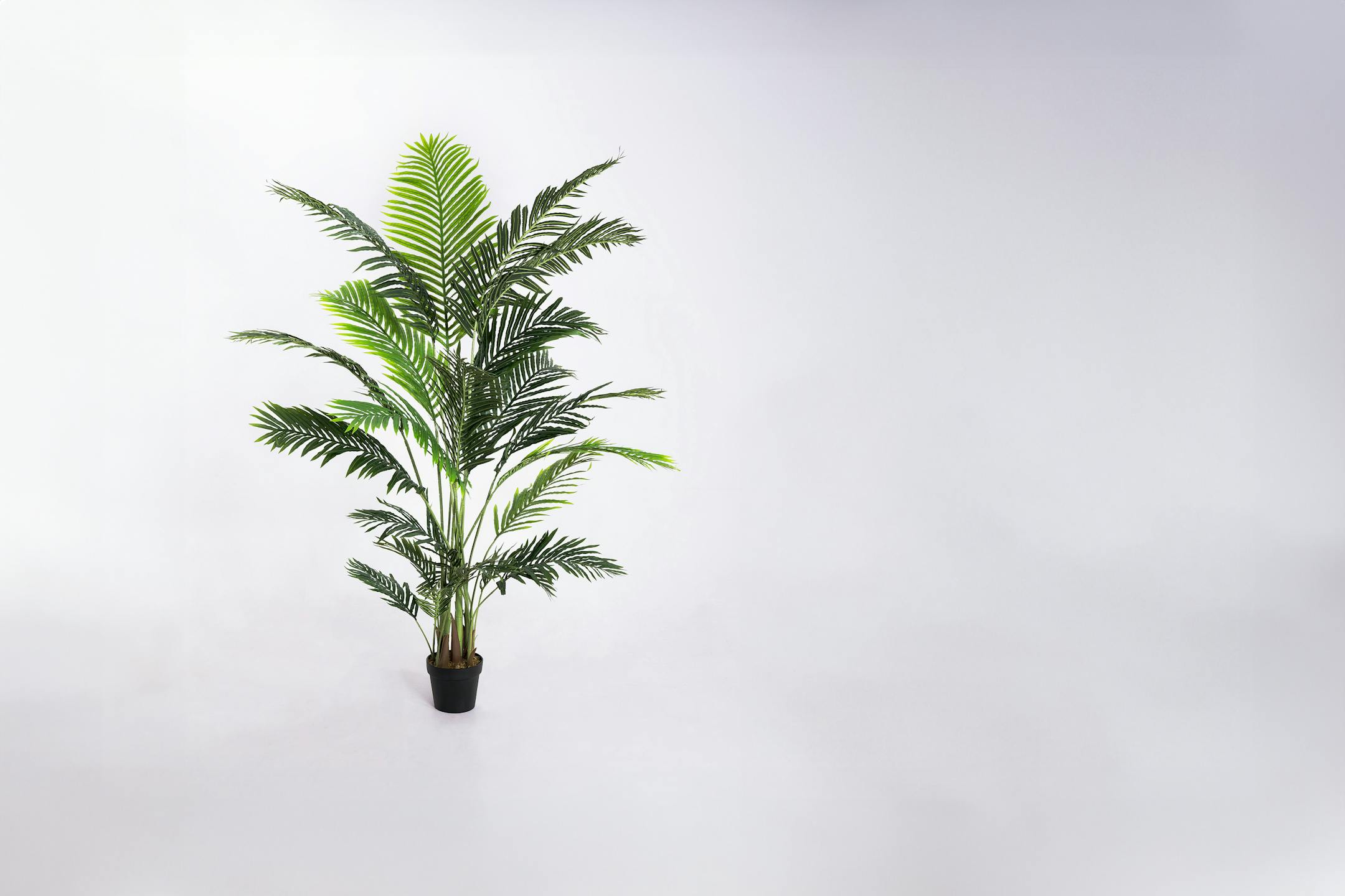 195cm artificial paradise palm tree