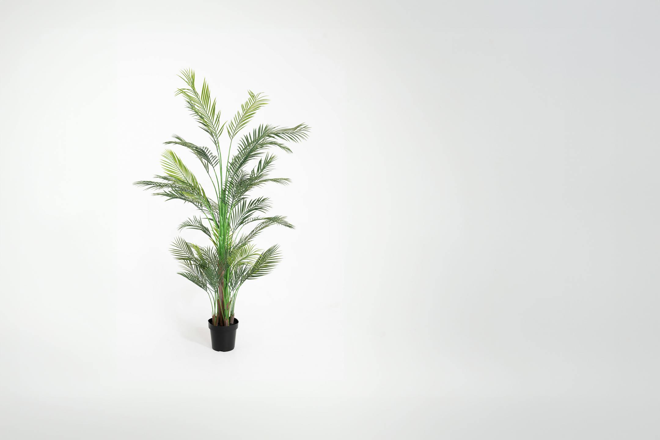 200cm artificial areca palm