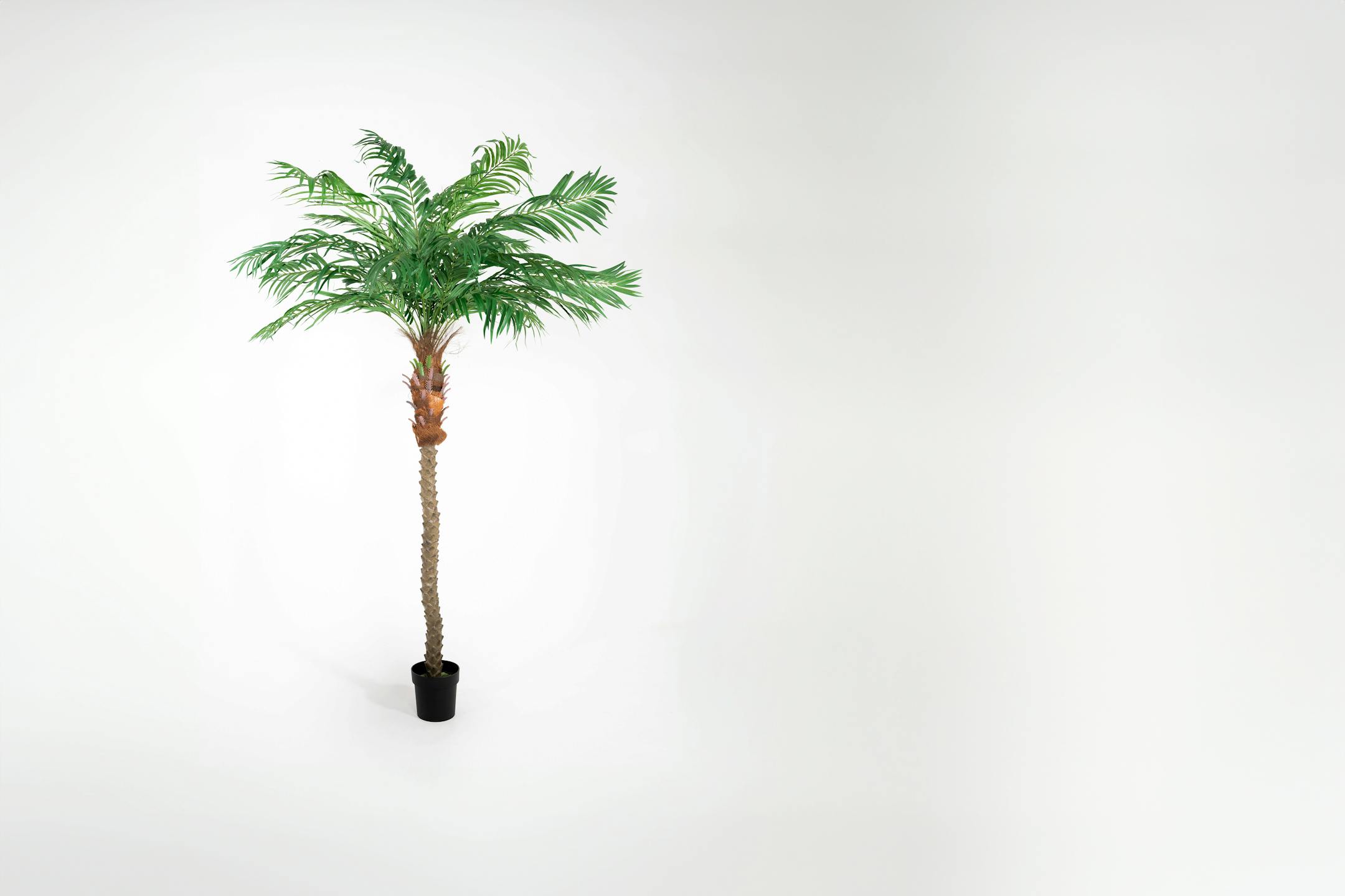 200cm artificial phoenix palm
