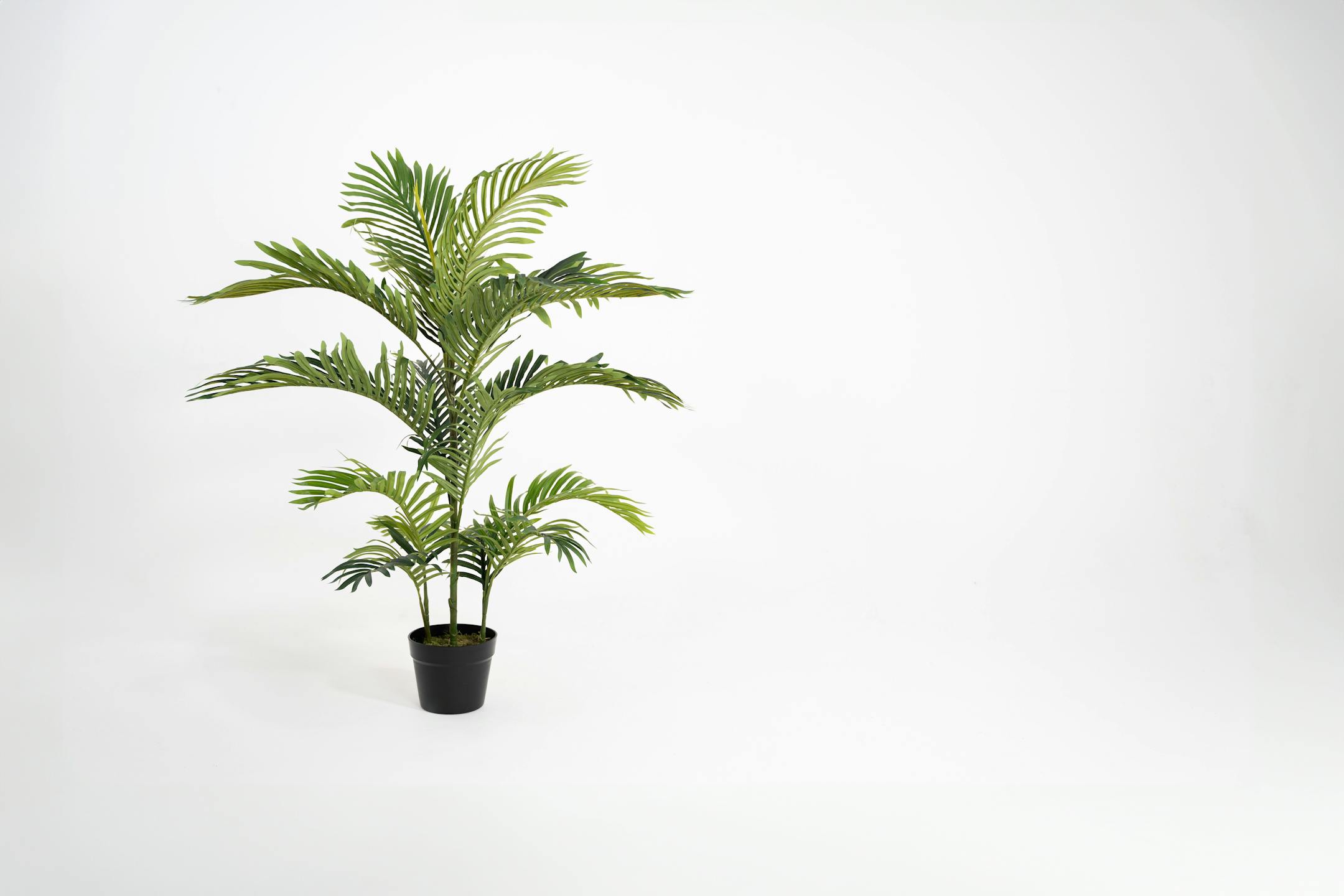 105cm artificial paradise palm tree