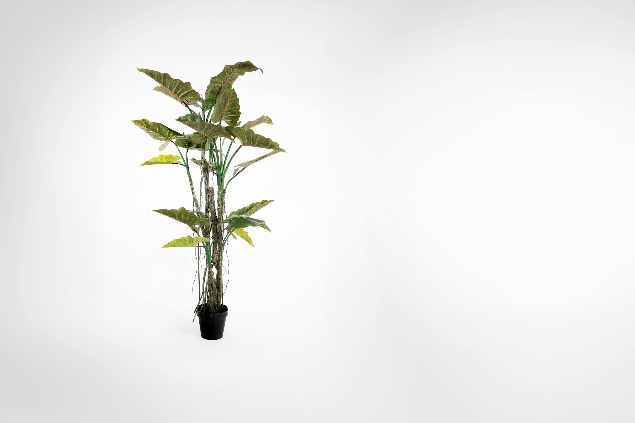Artificial 195cm colocasia liana tree