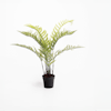 Artificial chain fern plant