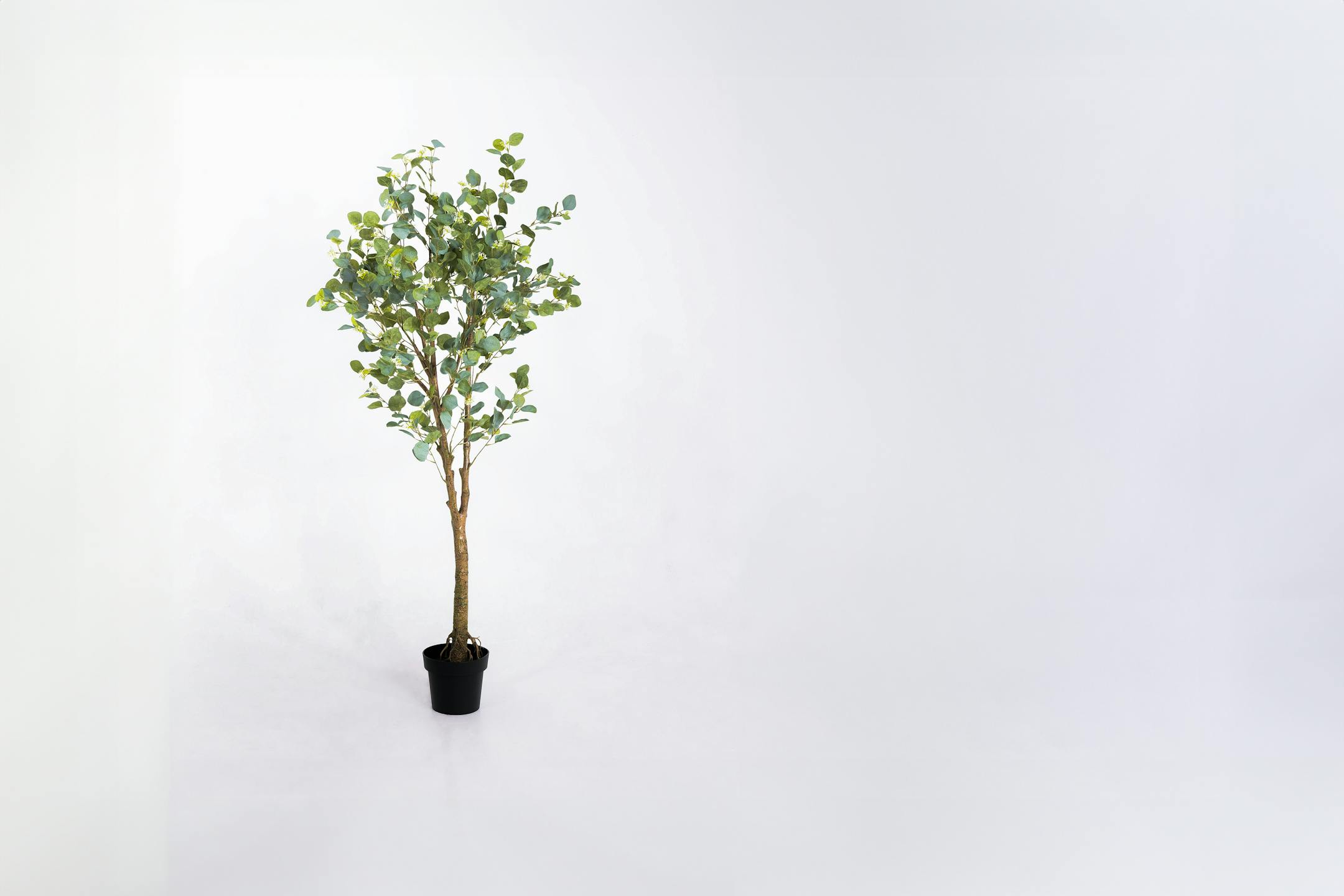 Artificial eucalyptus tree