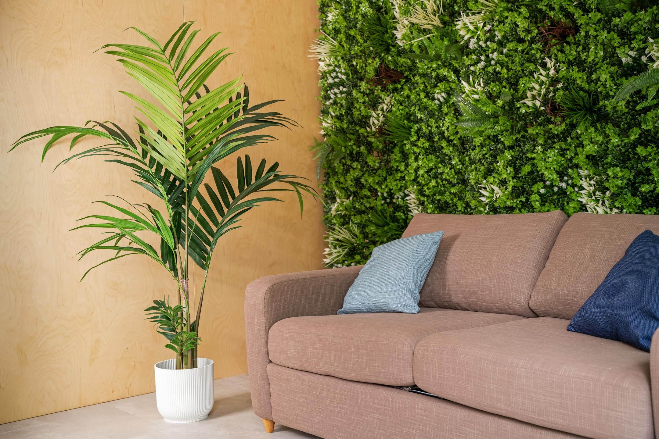 Artificial kentia palm tree with green living wall