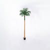 300cm artificial robellini palm tree