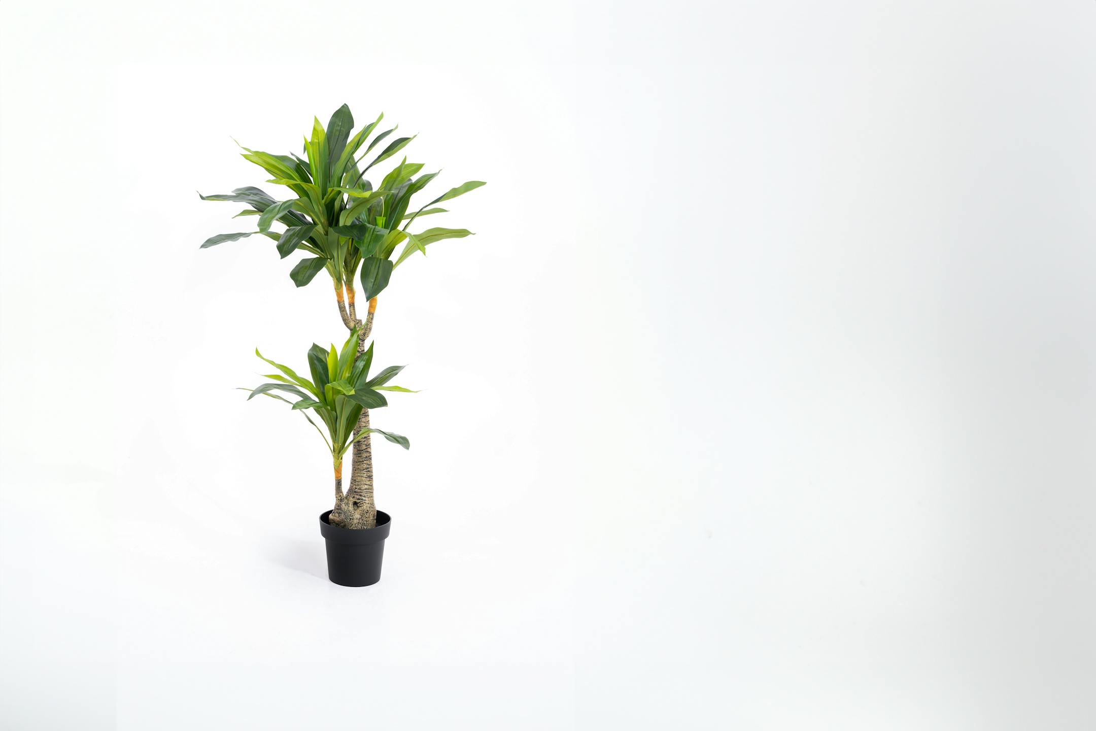 Dark green artificial yucca plant