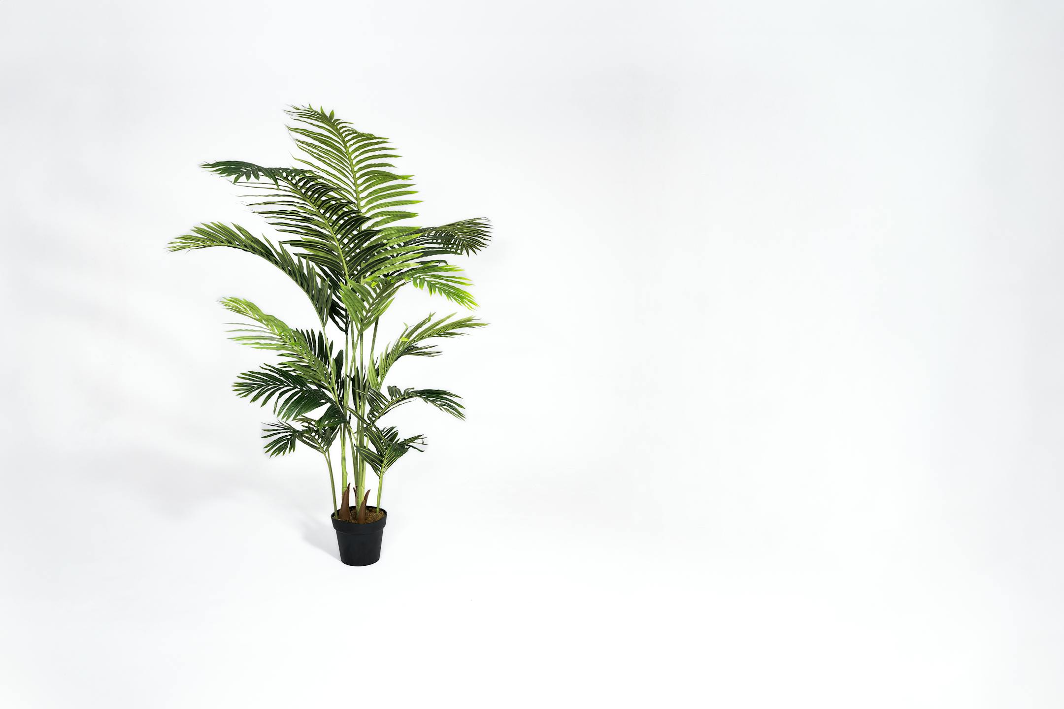 Artificial 170cm paradise palm tree