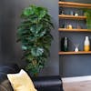 Artificial 180cm cheese plant in dark blue living room
