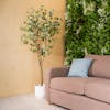 Artificial eucalyptus tree with brown sofa and living wall