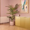 Faux paradise palm tree in pink interior