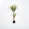 Light green artificial yucca plant