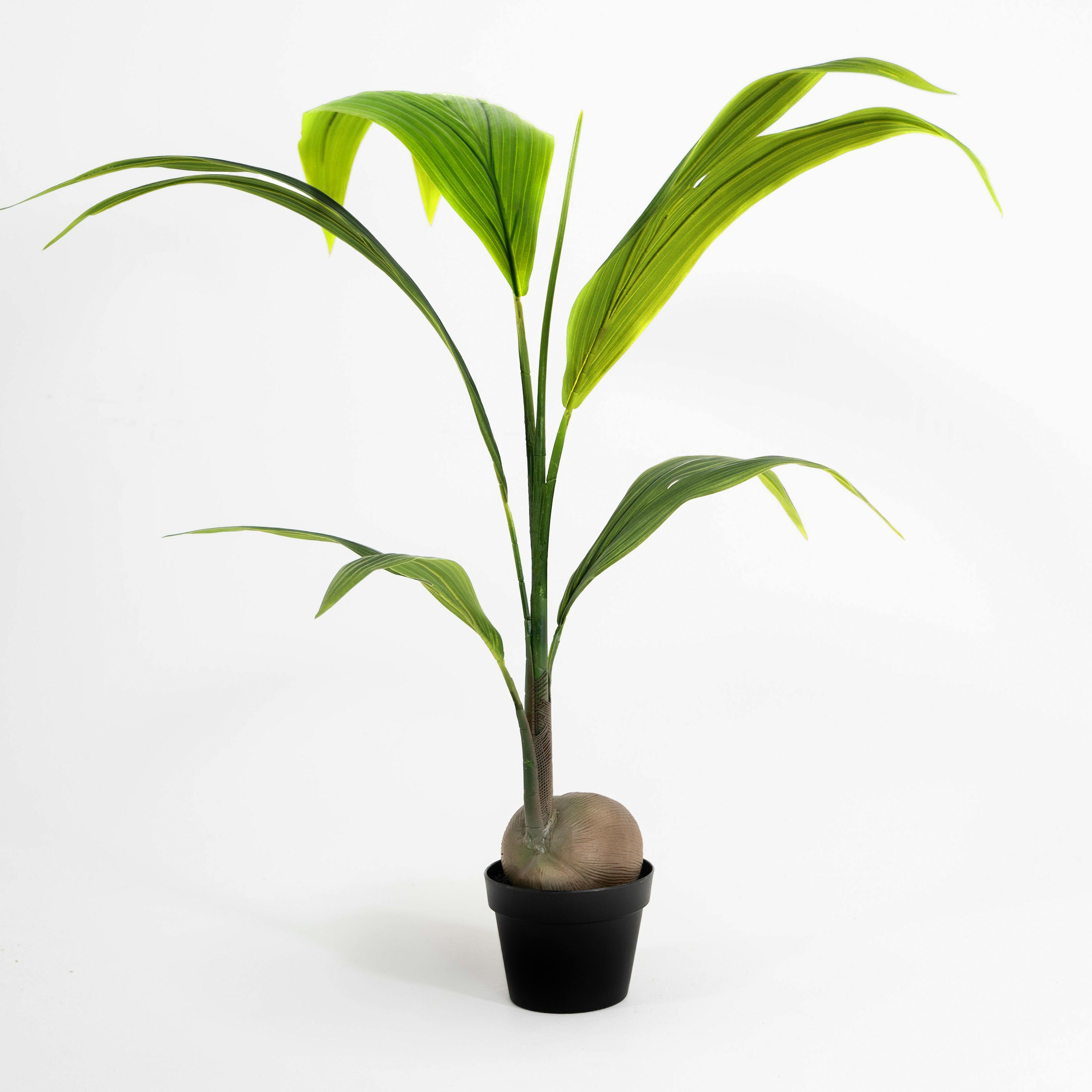 Artificial coconut tree discount