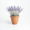 Artificial lavender patio planter