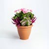 Artificial pink erica and geranium patio planter