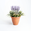 Artificial starflower and lavender patio tub