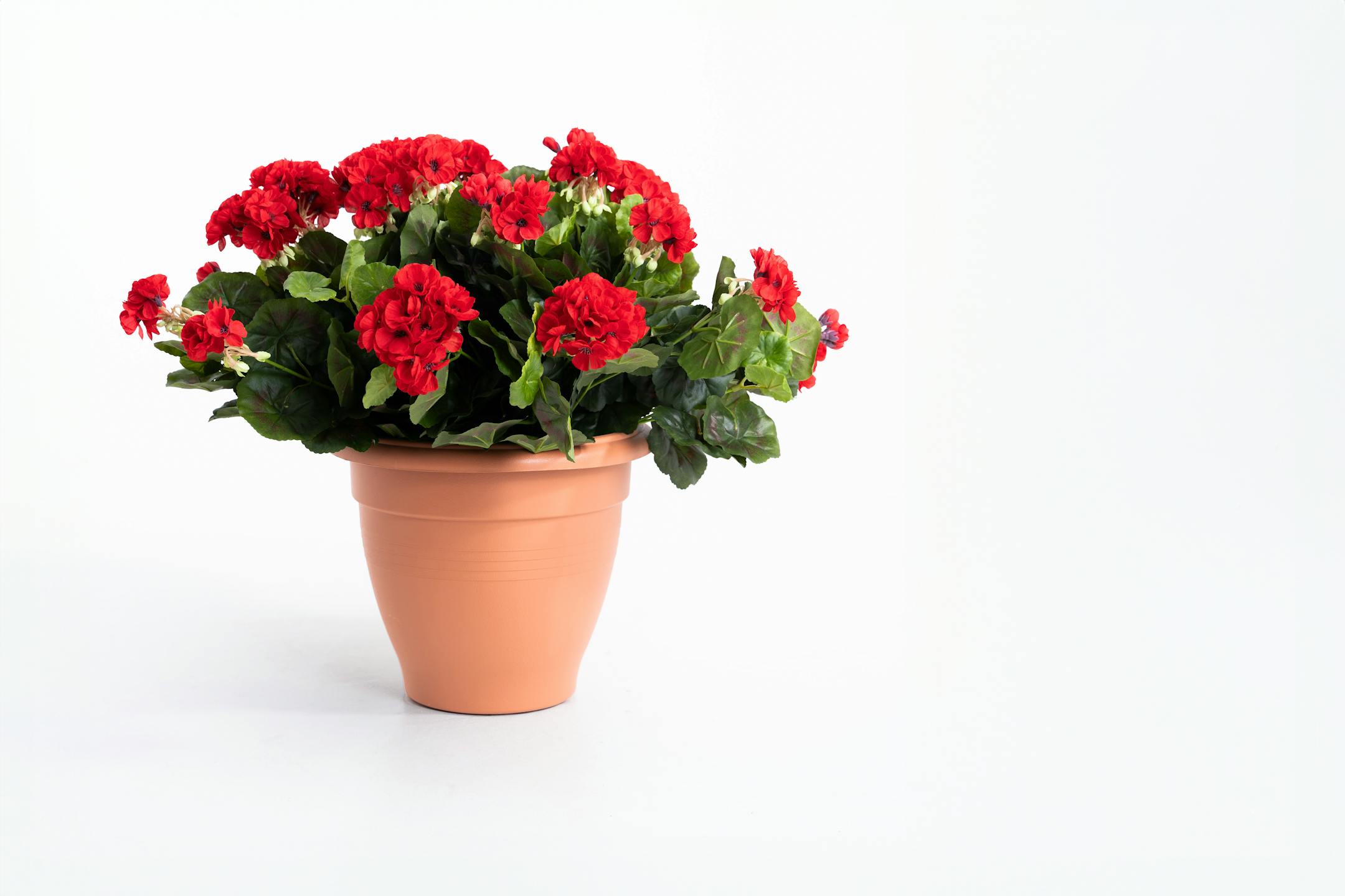 Artificial red geranium patio planter
