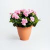 Artificial pink geranium patio planter