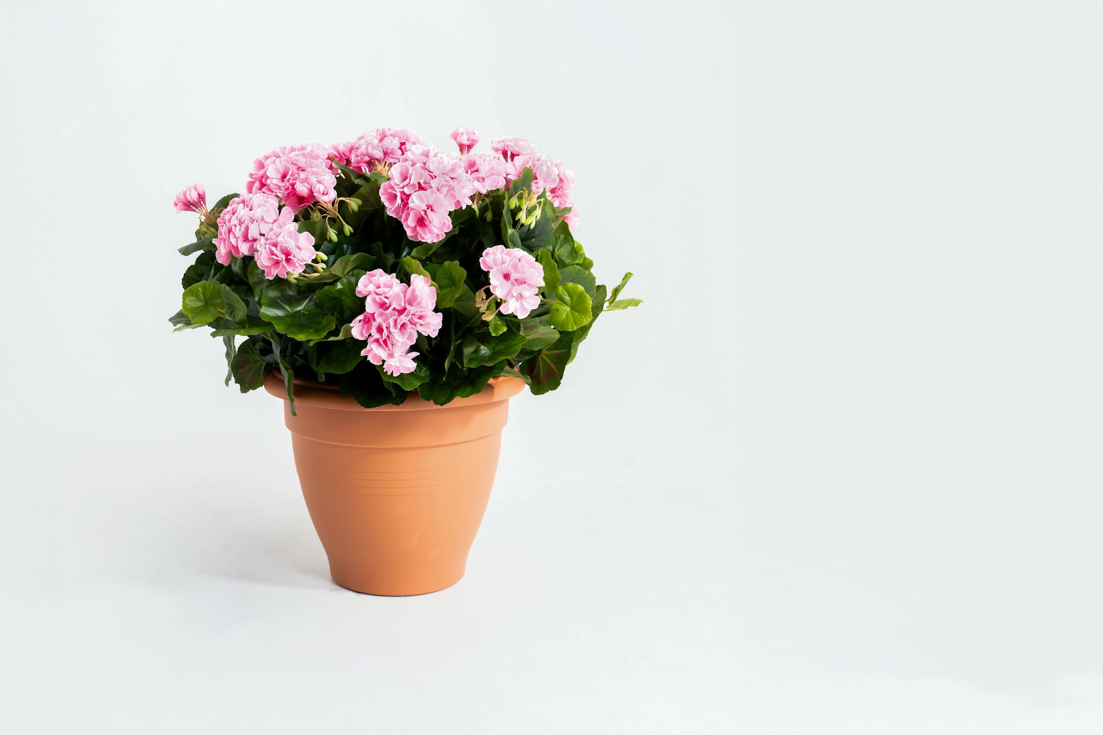 Artificial pink geranium patio planter