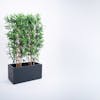 5ft Oriental Bamboo Screening Planter by Blooming Artificial