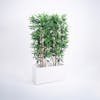 Artificial oriental bamboo screening in white planter