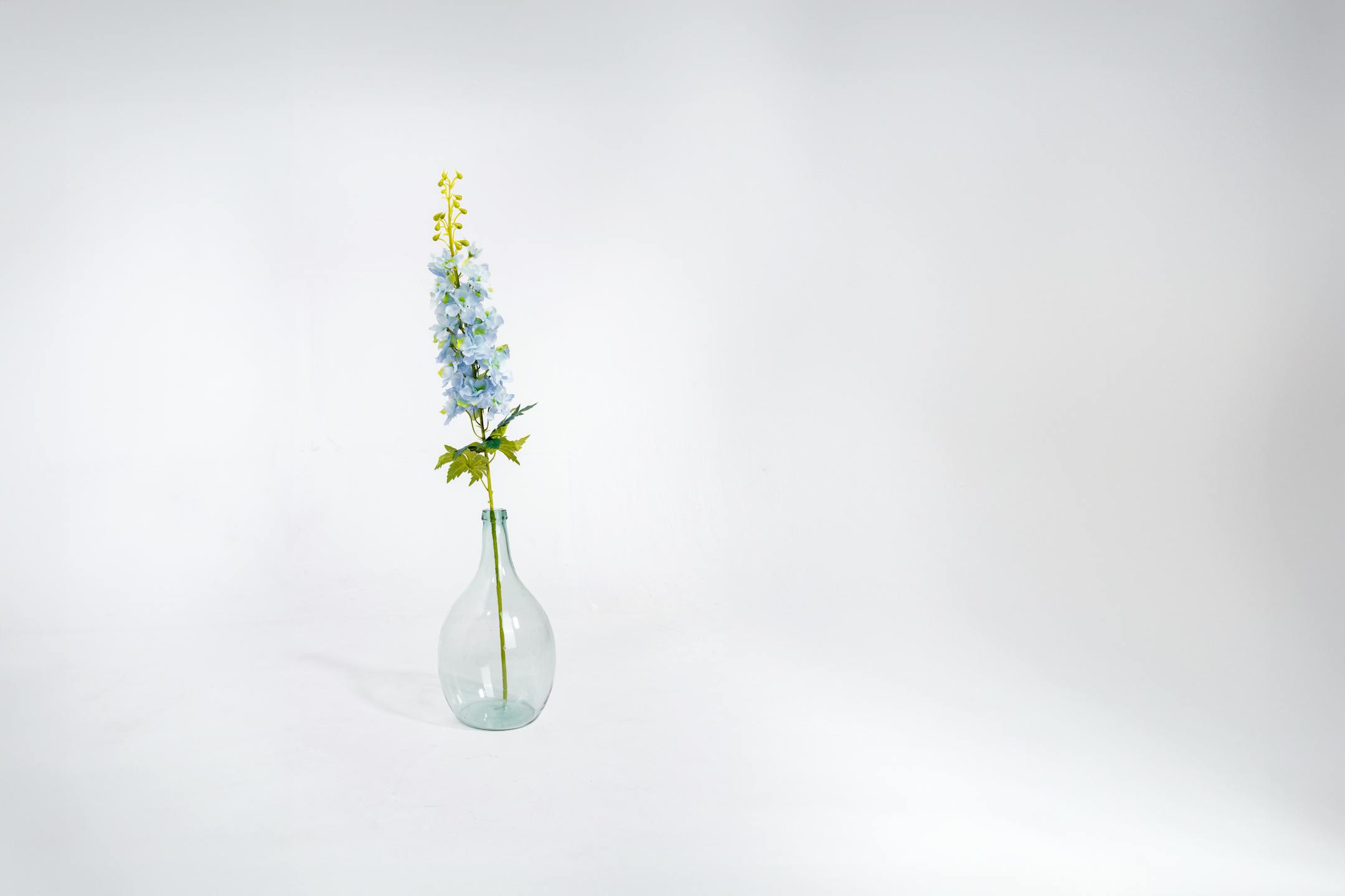 Blue artificial delphinium stem in glass vase