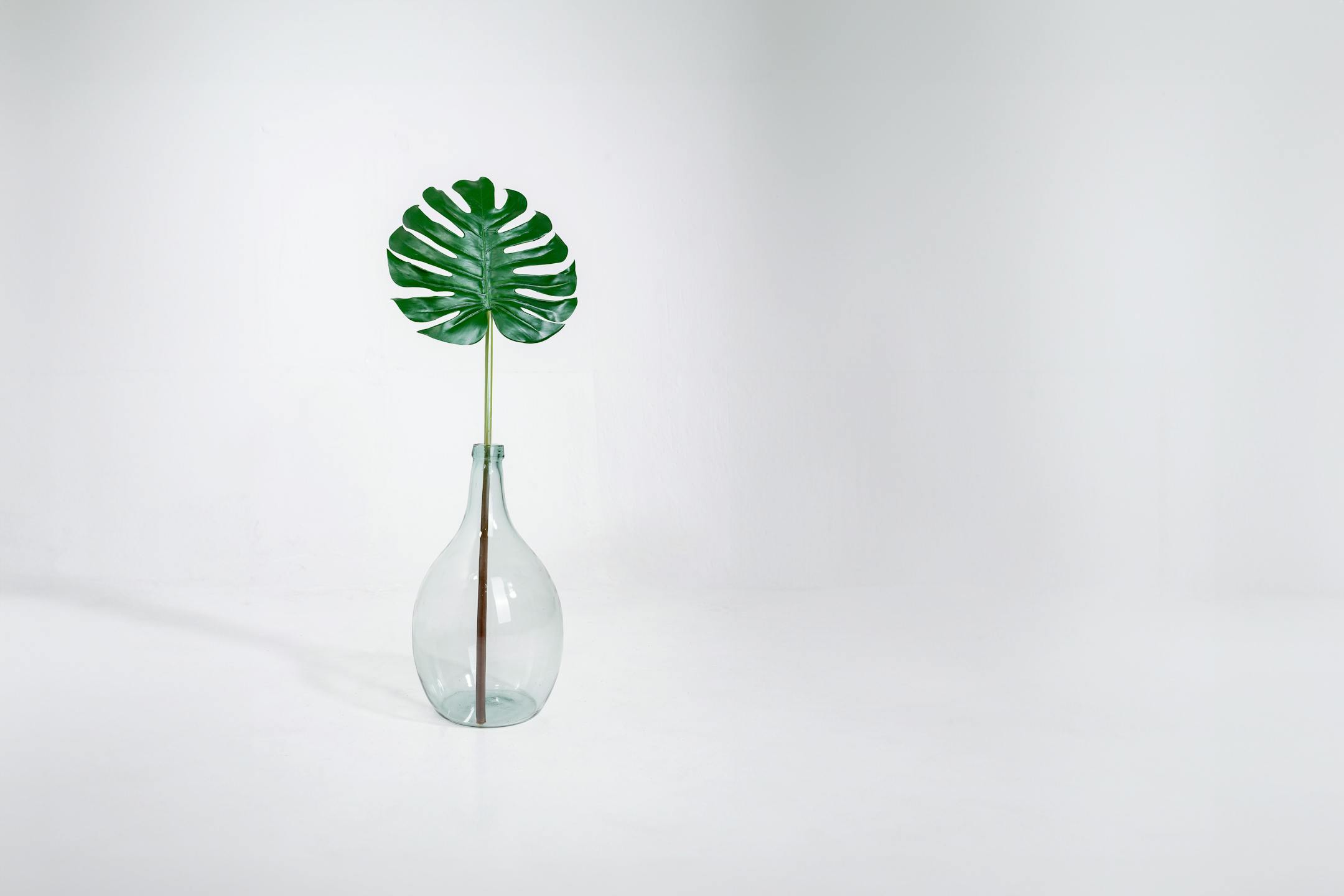 Artificial cheese plant leaf in glass vase