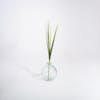 Artificial china grass in glass vase