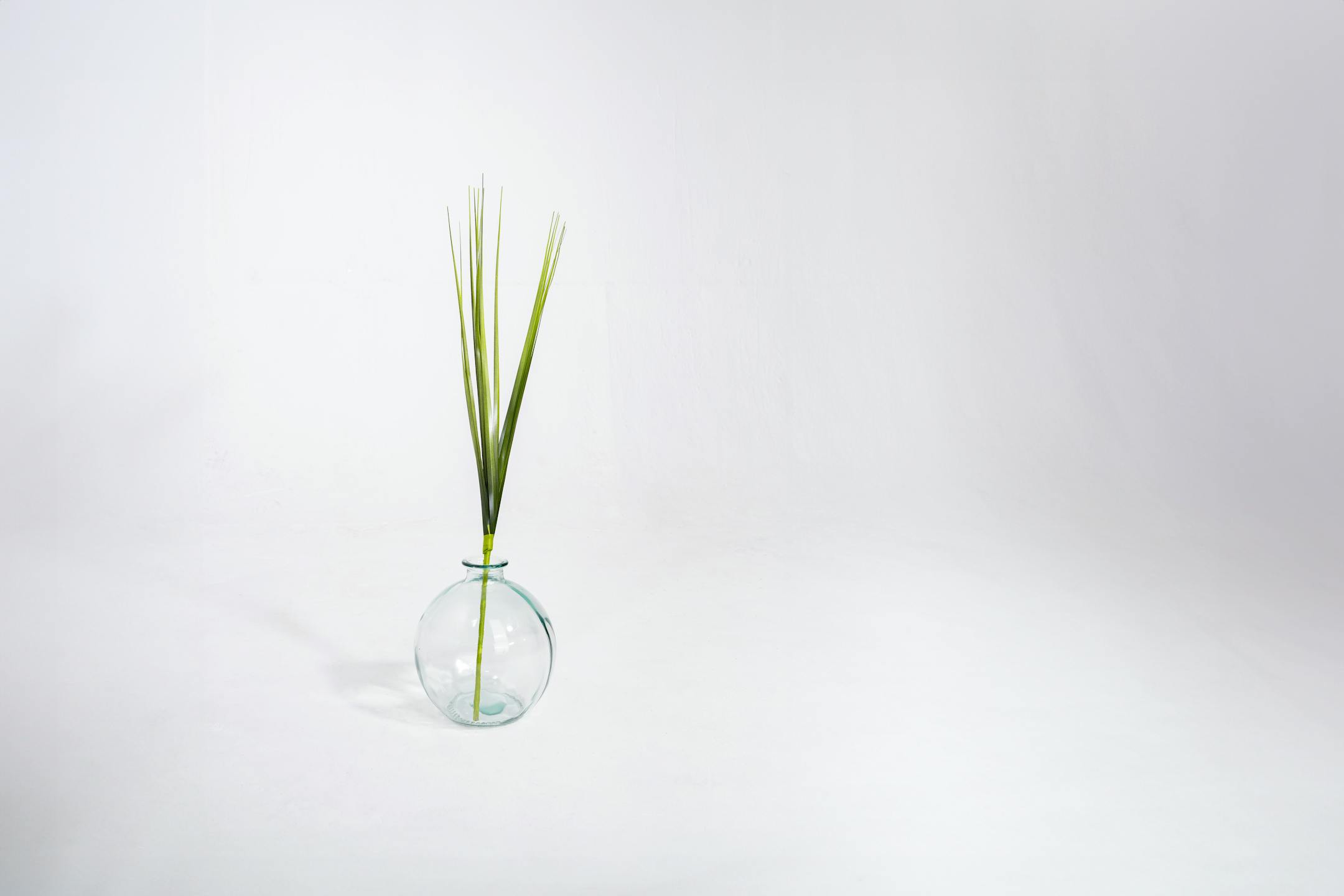 Artificial china grass in glass vase