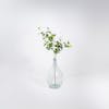 Artificial clematis spray in glass vase