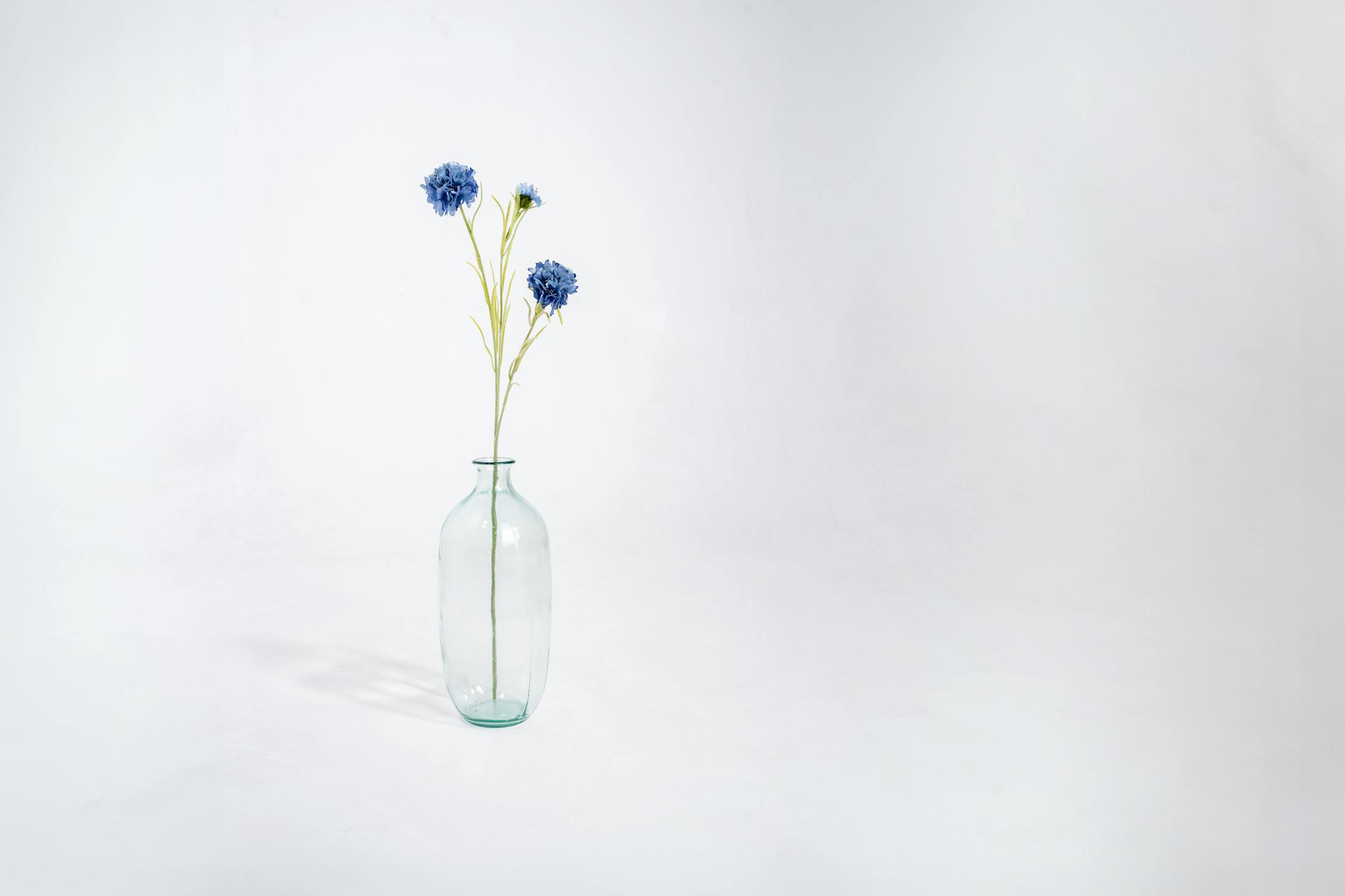 Blue artificial cornflower stem in glass vase
