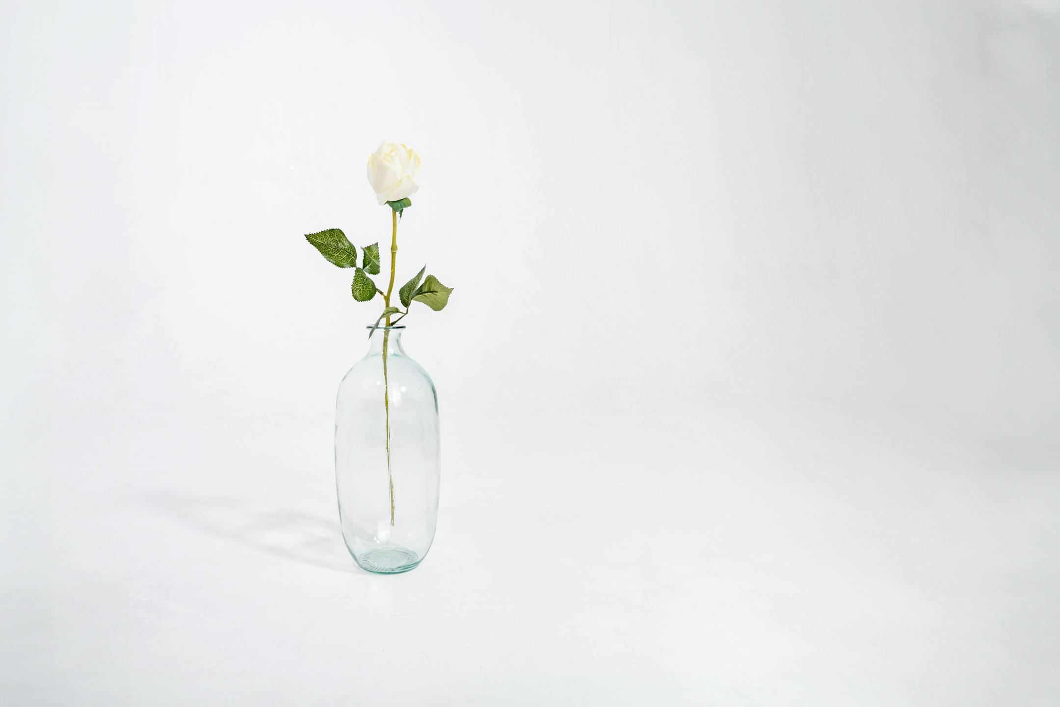 White artificial rose bud stem in glass vase