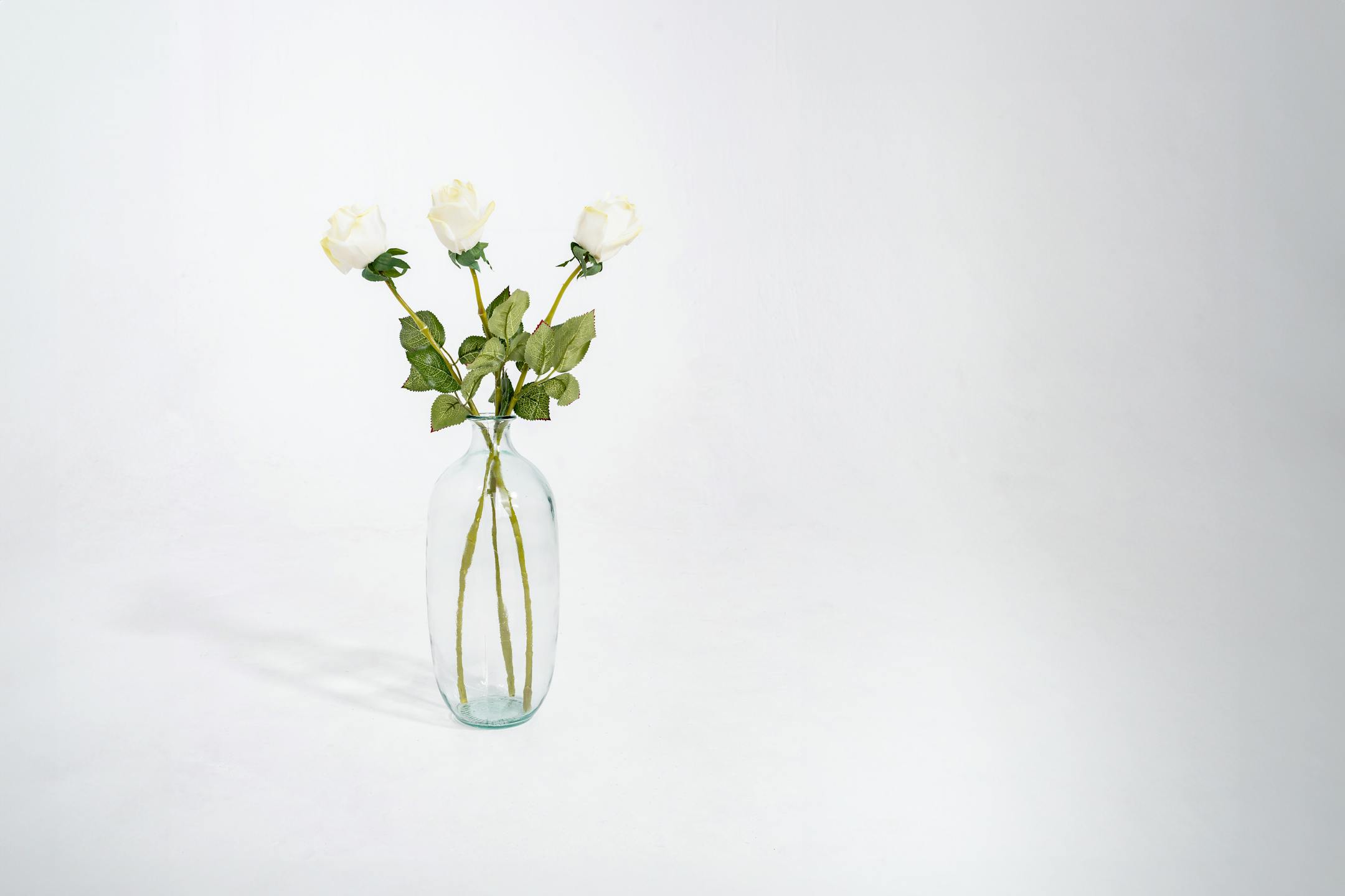 Three white artificial rose bud stems in glass vase